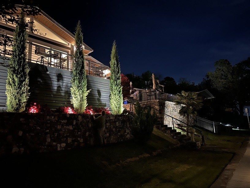 Landscape Uplighting