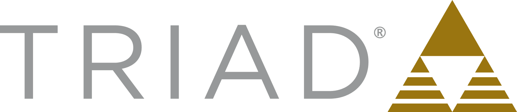 Triad logo
